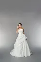VL55263 P.webp