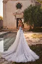 Ariel