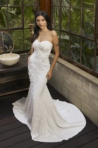 Ariel