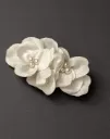 Pétalos de Marfil
