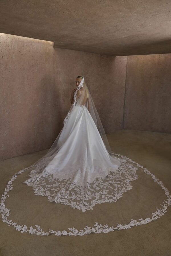 AURELIA - Image 2